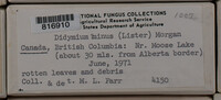 Image Associated With the Occurence